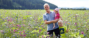 Blumenreich: In Gampern wächst ein Blütenmeer groß wie ein Fußballfeld