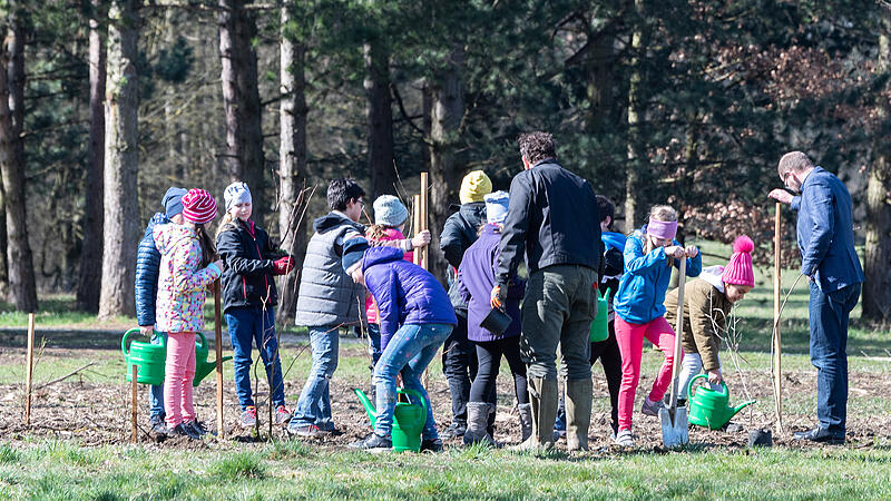 Kinder pflanzen im Wasserwald 500 junge Bäume
