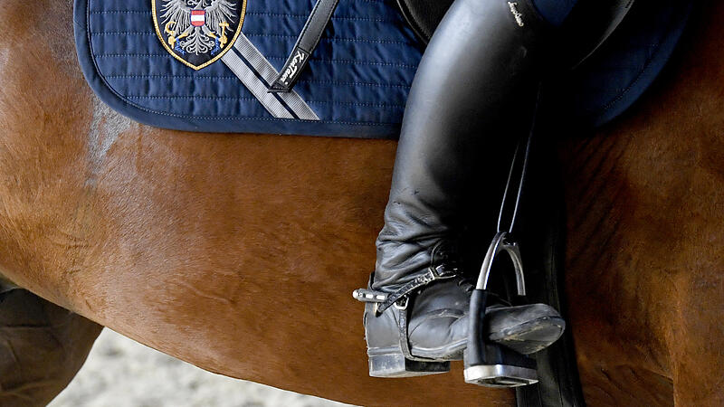 Berittene Polizei: Pferde und Reiter gewöhnen sich aneinander