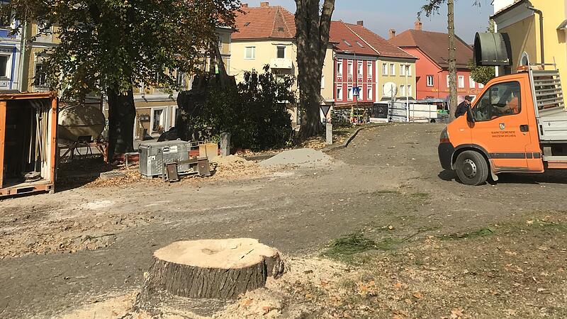 Kritik am Umbau des Marktplatzes und dem Umschneiden von alten Bäumen