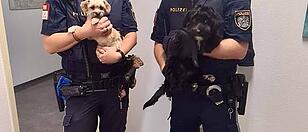 Polizisten-Duo versorgte verwahrloste Hunde