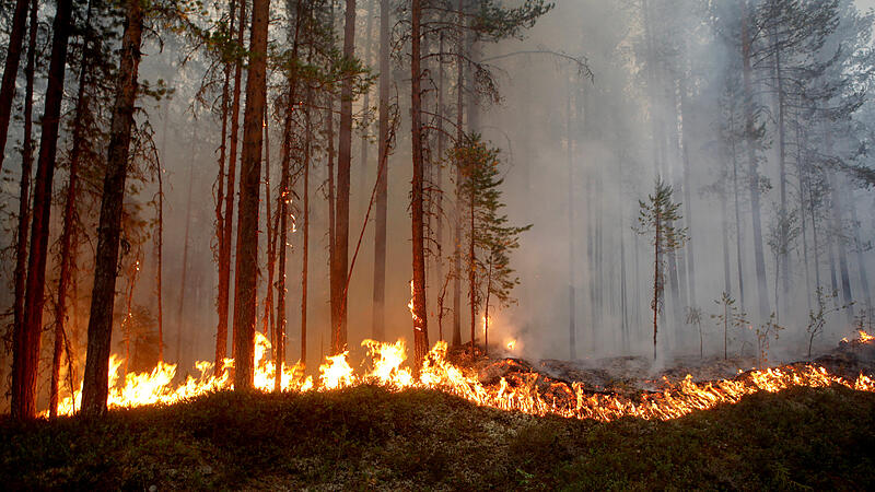 Schwere Waldbrände in Schweden