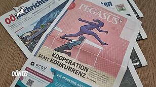 Neue Pegasus-Wirtschaftszeitung: Kooperation statt Konkurrenz
