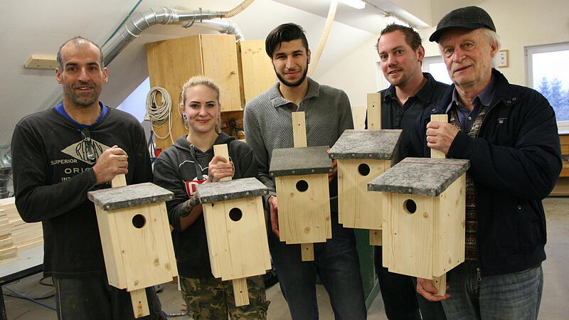 Produktionsschüler bauen Nistkästen für den Vogel des Jahres