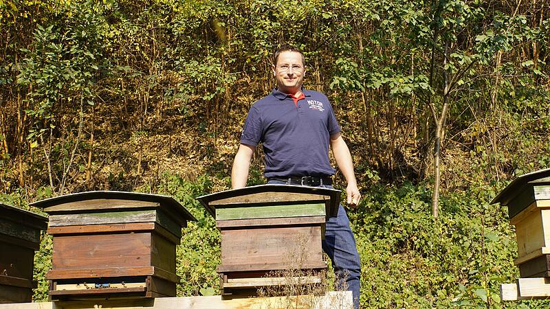 Rettet die Bienen: 550 neue Imker in Oberösterreich